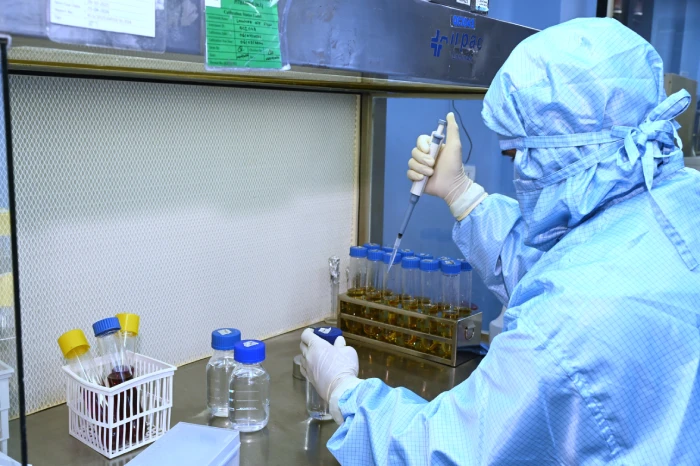 Evidence-Based Development